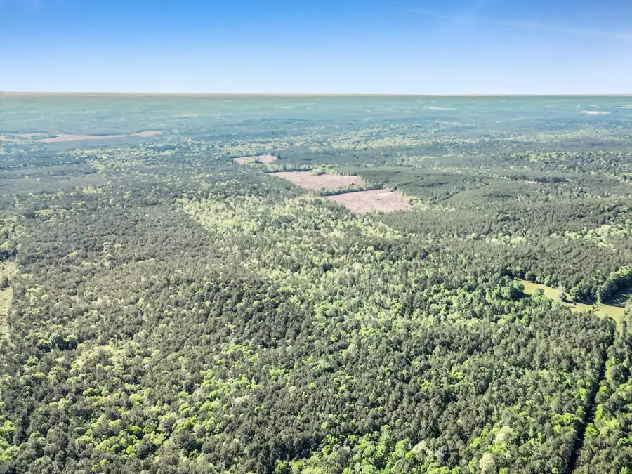 0000 County Road 425, Kirbyville, TX 75956 - #2