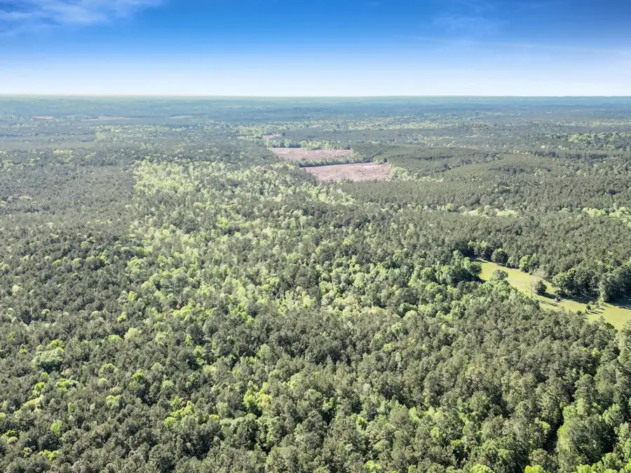 0000 County Road 425, Kirbyville, TX 75956 - #3