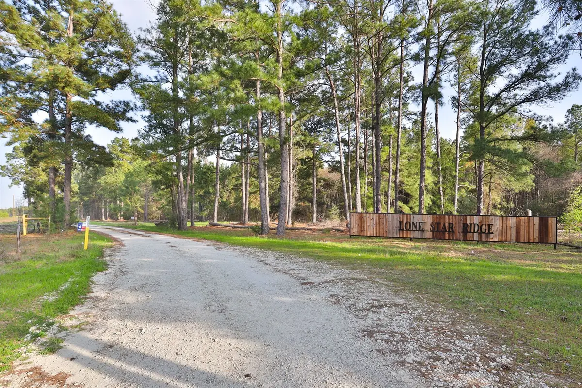 450 Williamson Way Way, Lovelady, TX 75851 - Image #1