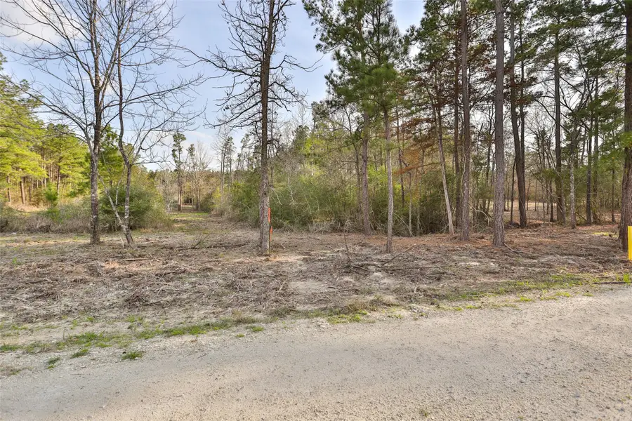 450 Williamson Way Way, Lovelady, TX 75851 - Image #3