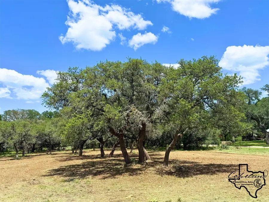 386 Landons Way, Spring Branch, TX 78070 - Image #2