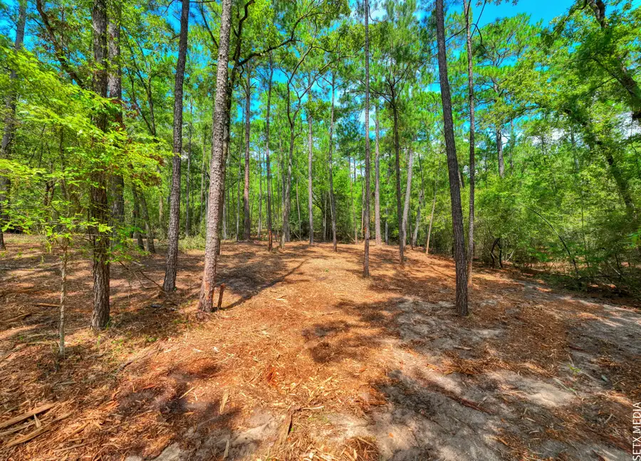 6566 Parkside, Brookeland, TX 75931 - #2