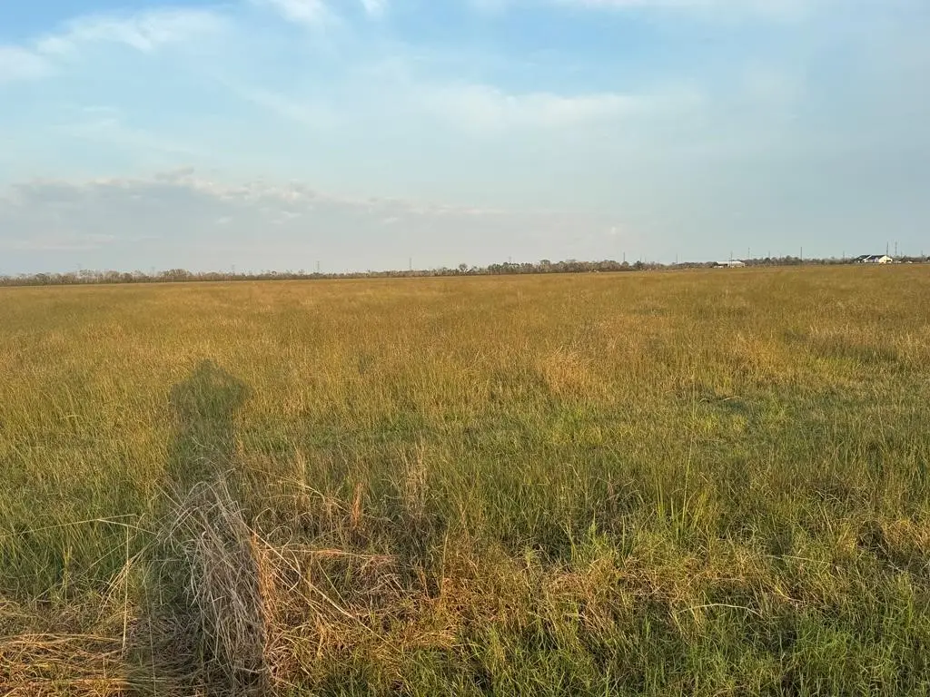 40 ACRES County Road 45, Angleton, TX 77515 - #1