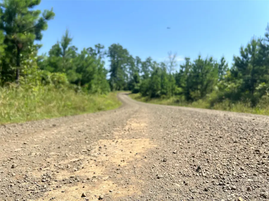 06 Carters Ferry Road, Milam, TX 75959 - Image #3