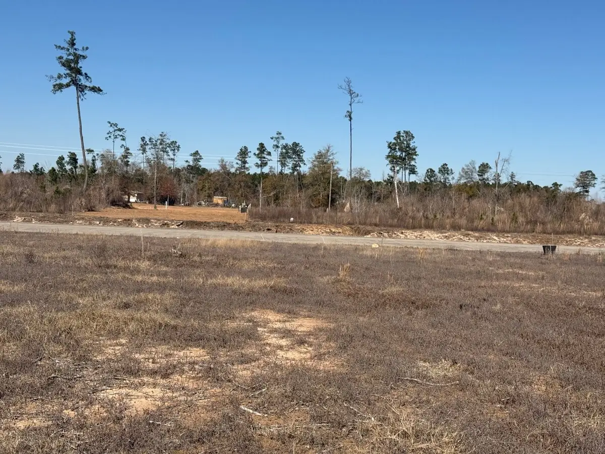 6093 Road 5872, Cleveland, TX 77327 - #1