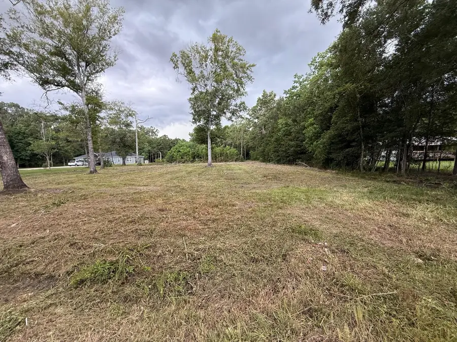 00 Birch Place, New Caney, TX 77357 - #3