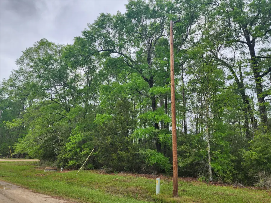 TBD Cloverdale, Livingston, TX 77351 - #3