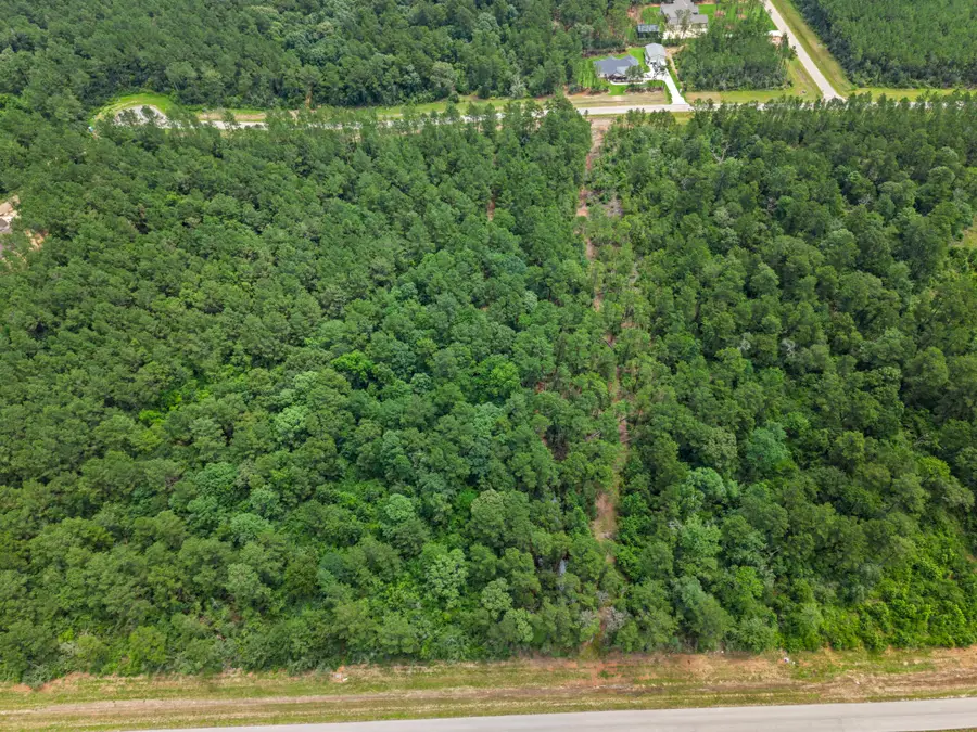 16303 Golden Wood Court, Willis, TX 77378 - #2