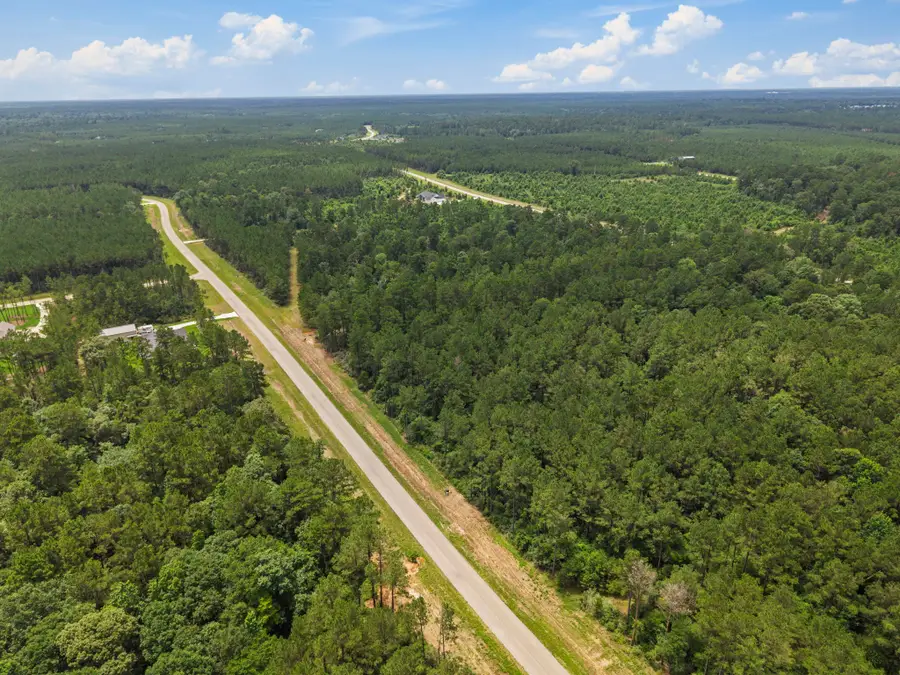 16303 Golden Wood Court, Willis, TX 77378 - #3
