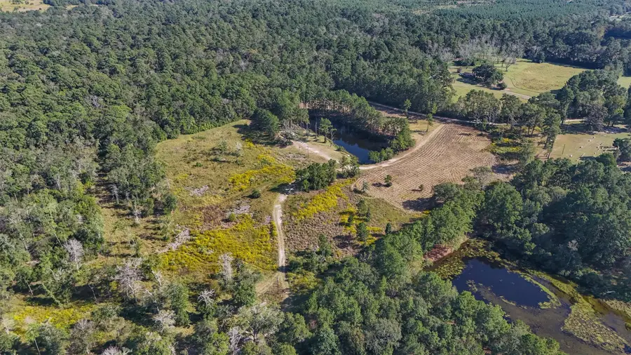 1615 Bob Williams Road, Saratoga, TX 77374 - Image #2