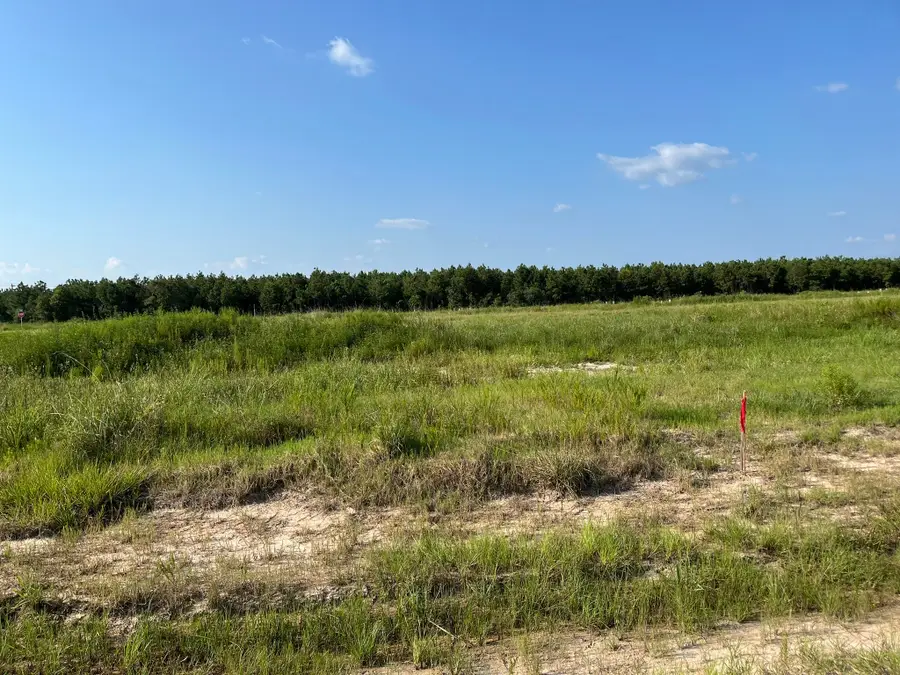 1021 Road 5858, Cleveland, TX 77535 - #2