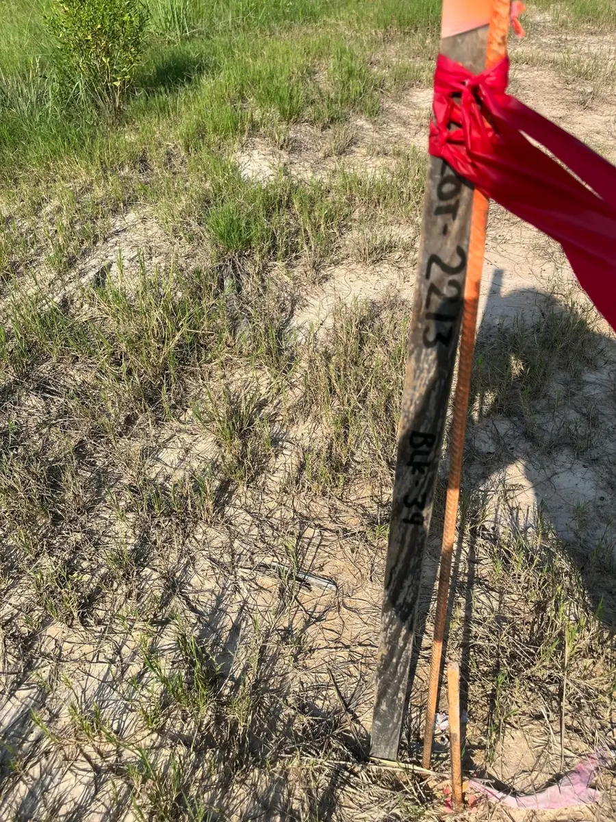 1021 Road 5858, Cleveland, TX 77535 - #3