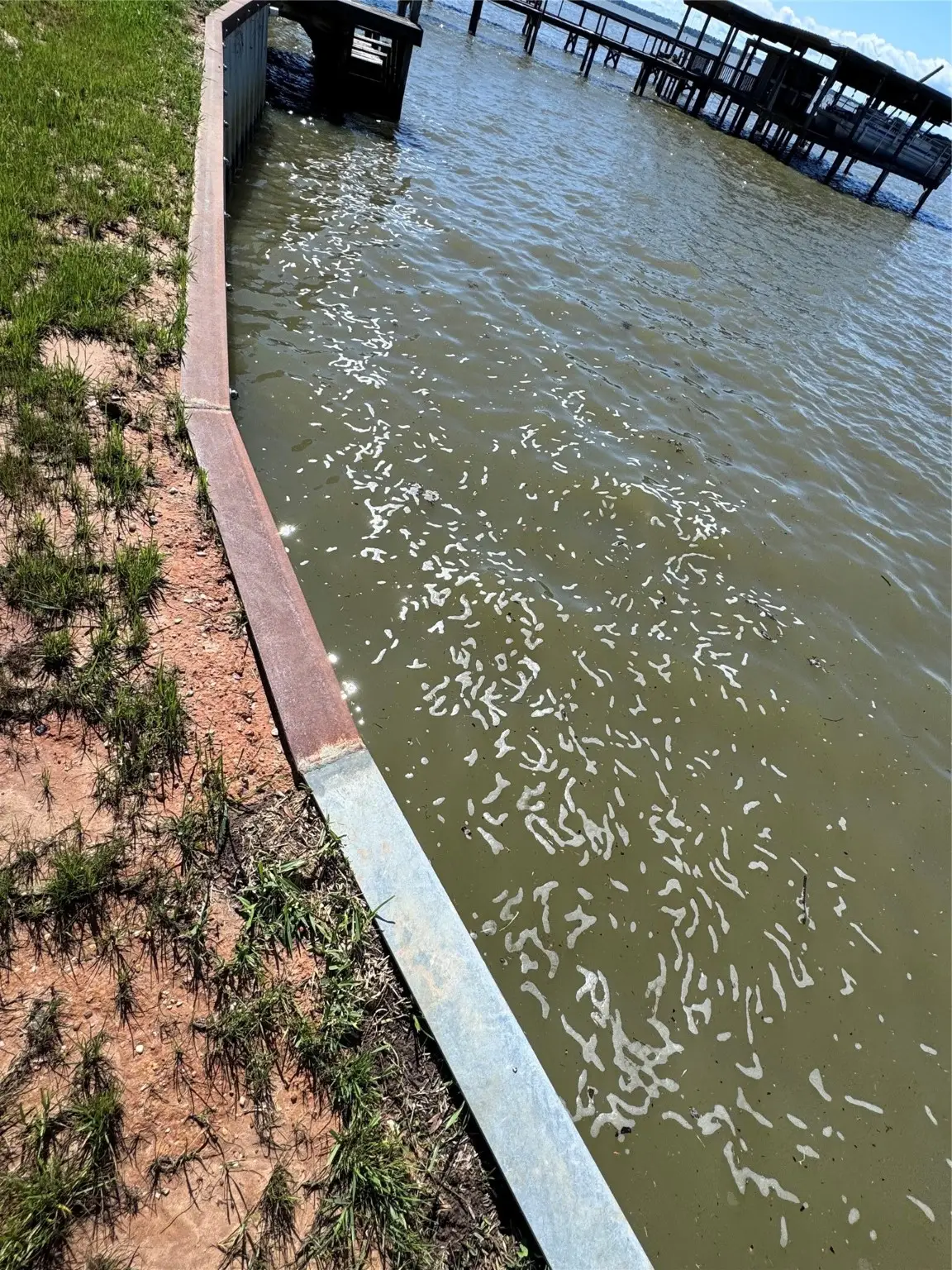 108 Javelina Street, Onalaska, TX 77360 - Image #1