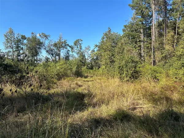 Lot 16 County Road 2235, Cleveland, TX 77328