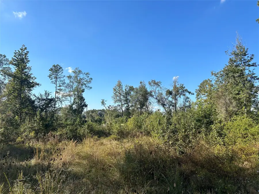 Lot 16 County Road 2235, Cleveland, TX 77328 - #2