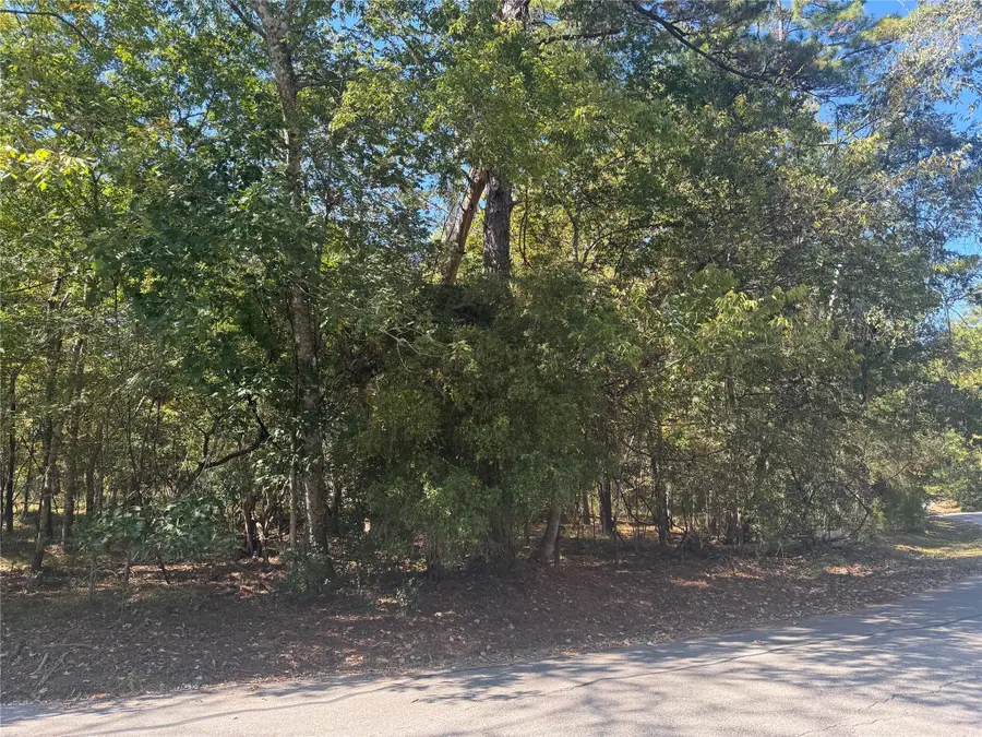 176 N Fairway Loop, Coldspring, TX 77331 - Image #2