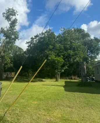 7801 Angus A And B Street, Houston, TX 77028 - Image #1