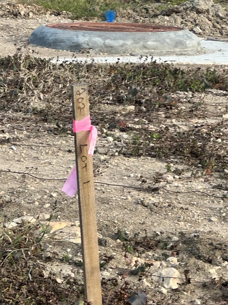 2411 Beverlywood Drive, Missouri City, TX 77489 - #3