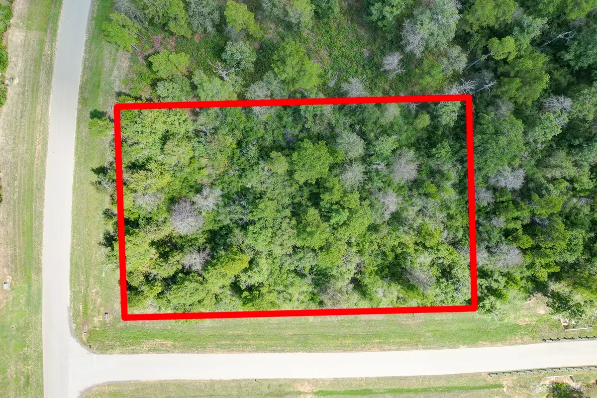10692 Ruger Road, Willis, TX 77378 - #1