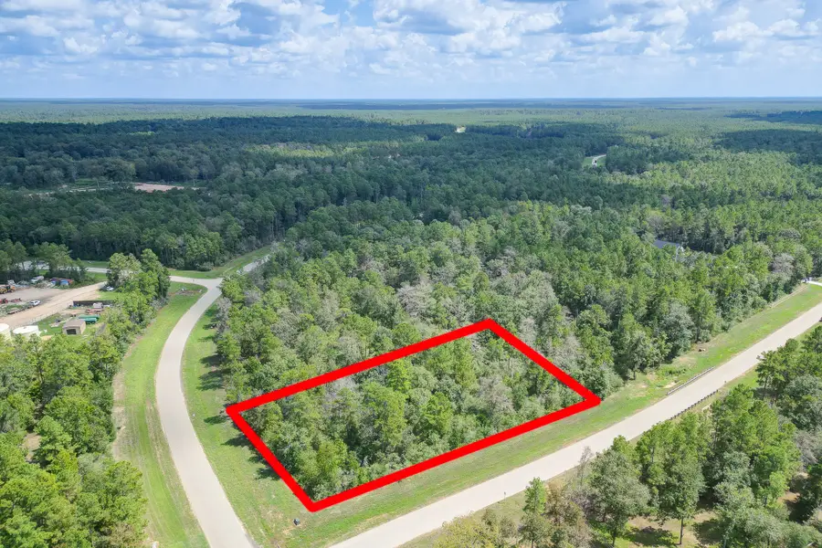 10692 Ruger Road, Willis, TX 77378 - #2