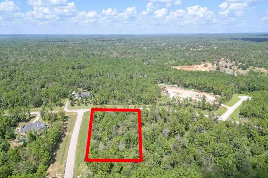 10692 Ruger Road, Willis, TX 77378 - #3