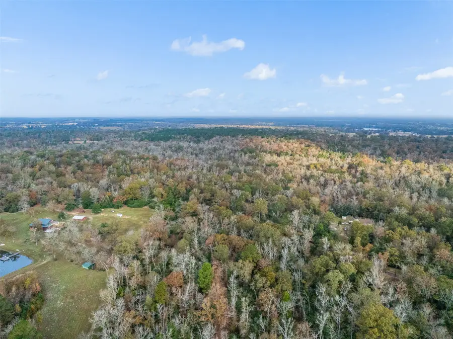 TBD County Road 294, Oakwood, TX 75855 - Image #3