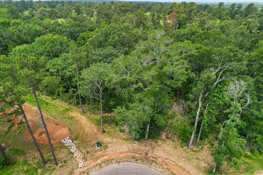 24915 Two Rivers Road, Montgomery, TX 77316 - Image #2