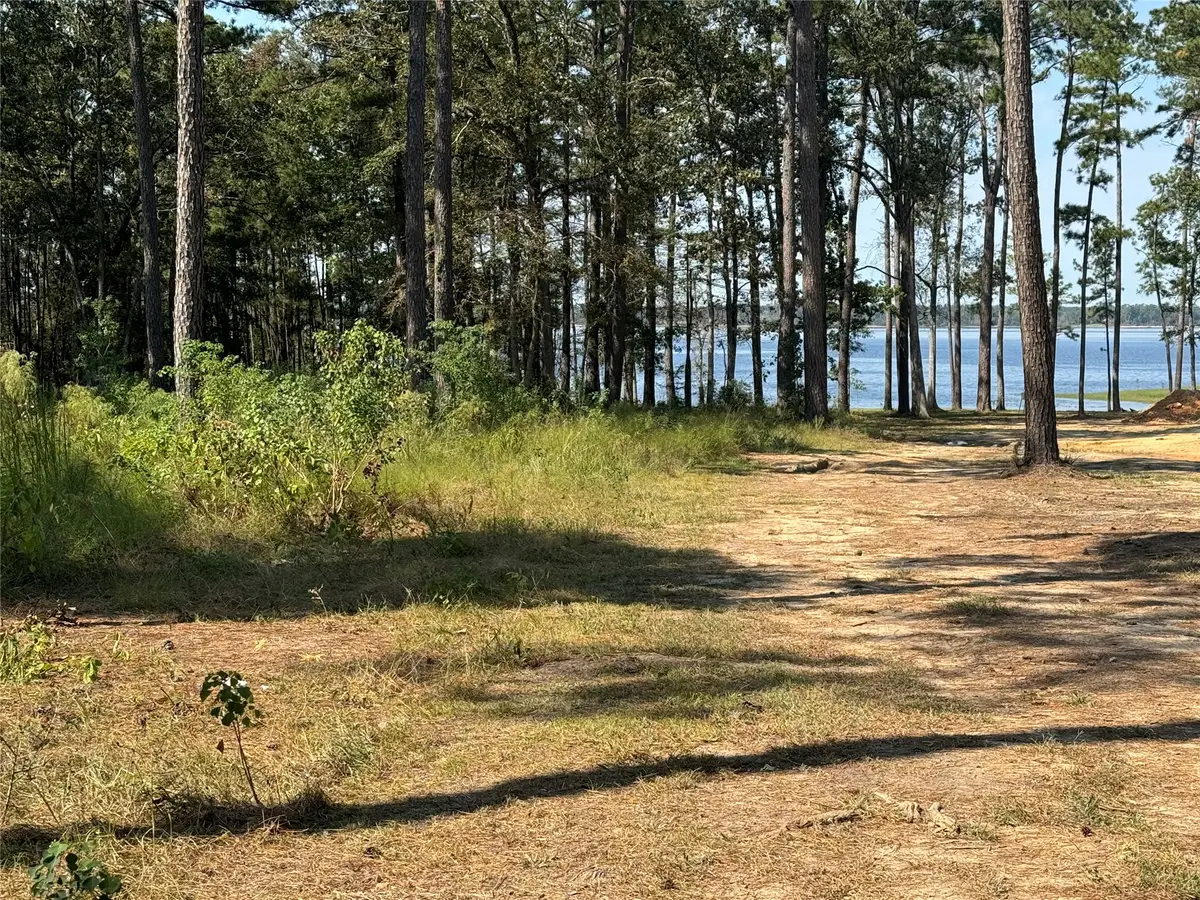 TBD 024 Private Road 6028, Brookeland, TX 75931 - Image #1