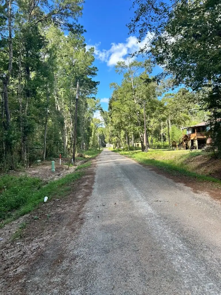 0 County Road 3812, Cleveland, TX 77327 - #1