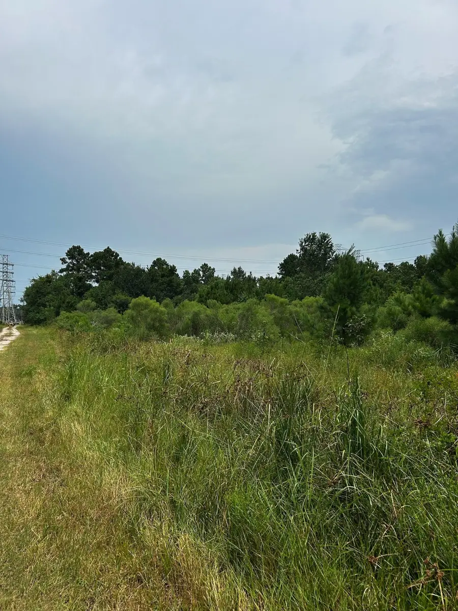 00 Moonshine Hill Road, Humble, TX 77338 - Image #2