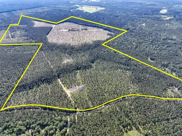 T-8 Fountain Creek Road, Groveton, TX 75845