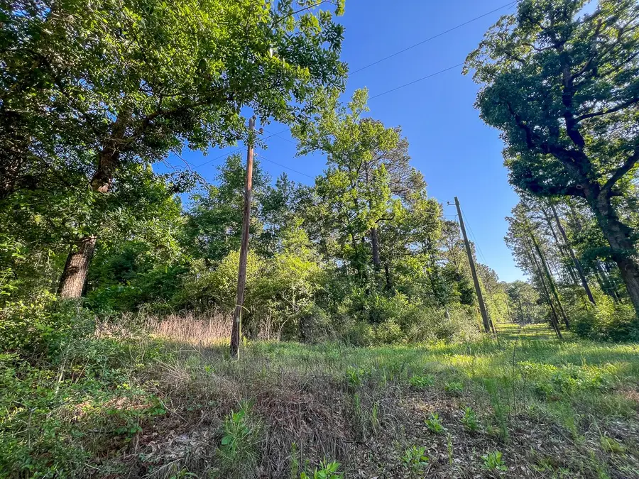 T-8 Fountain Creek Road, Groveton, TX 75845 - #2