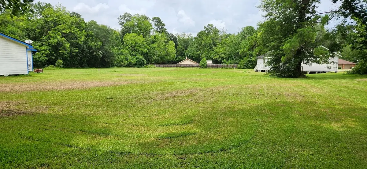 TBD N Winfree, Dayton, TX 77535 - #1