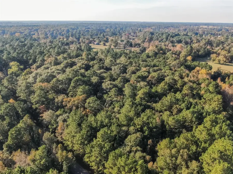 TBD Hwy 150, New Waverly, TX 77358 - #2