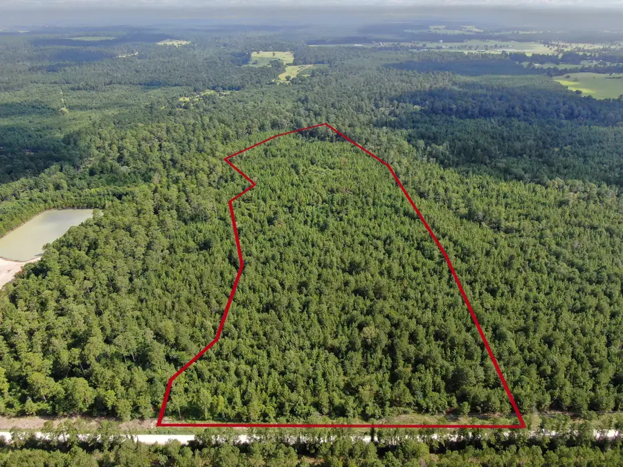 0 Scales Ranch Road, Huntsville, TX 77320 - #2