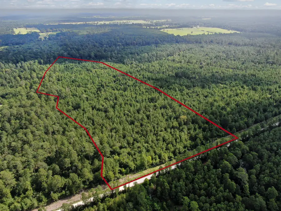 0 Scales Ranch Road, Huntsville, TX 77320 - #3
