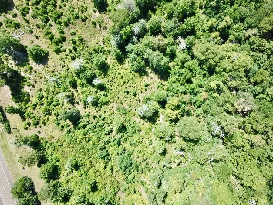 8.269+/- Acs Fm 92 S, Woodville, TX 75979 - Image #2