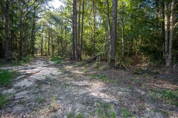 tbd Co Rd 3000, Woodville, TX 75979