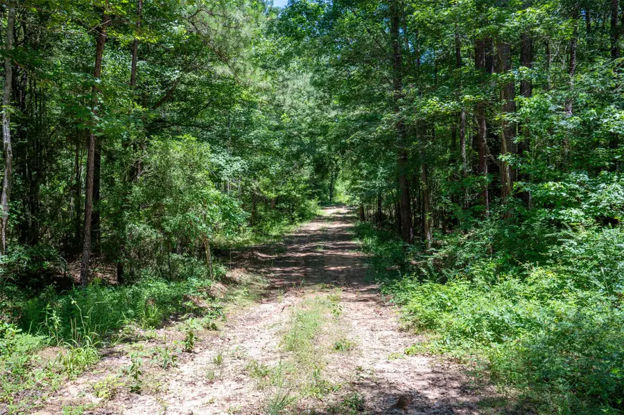 tbd Co Rd 3000, Woodville, TX 75979 - Image #3