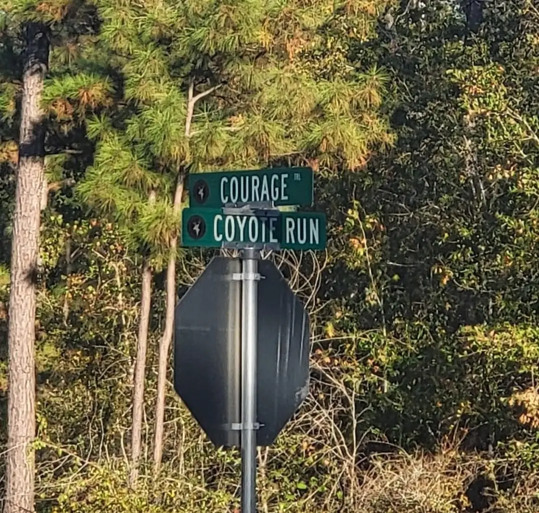 104 Coyote Run, New Waverly, TX 77358 - Image #1