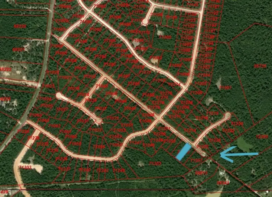 104 Coyote Run, New Waverly, TX 77358 - Image #3