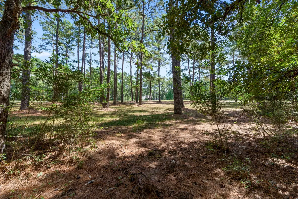 37432 Clubhouse Lane, Magnolia, TX 77355 - #1