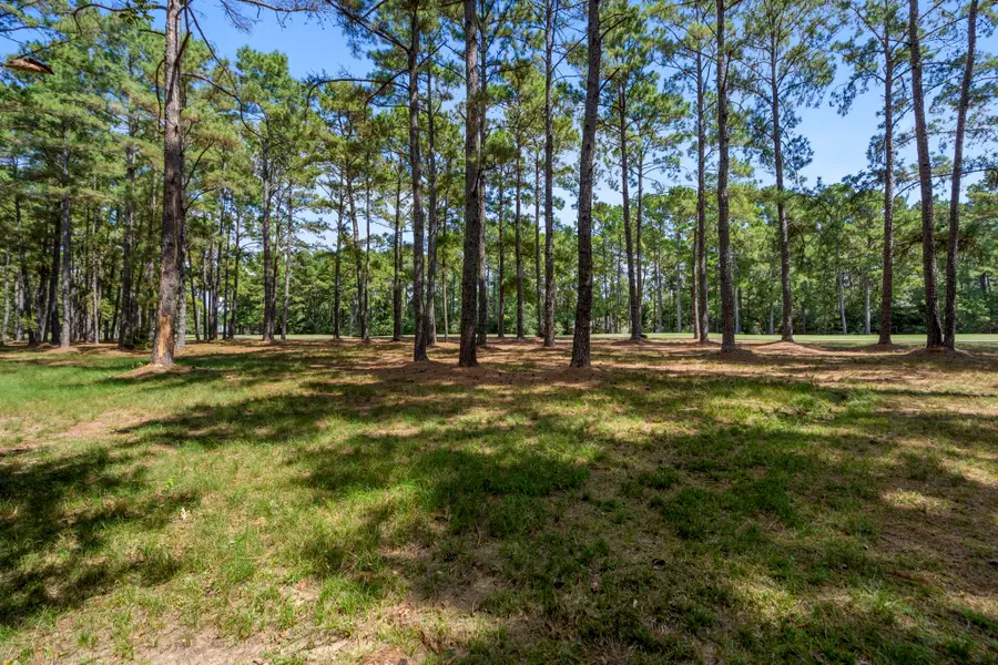 37432 Clubhouse Lane, Magnolia, TX 77355 - #2