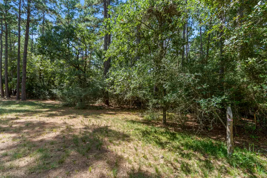37432 Clubhouse Lane, Magnolia, TX 77355 - #3