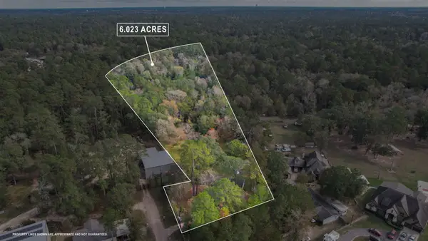 26538 Flower Mound Lane, Magnolia, TX 77354