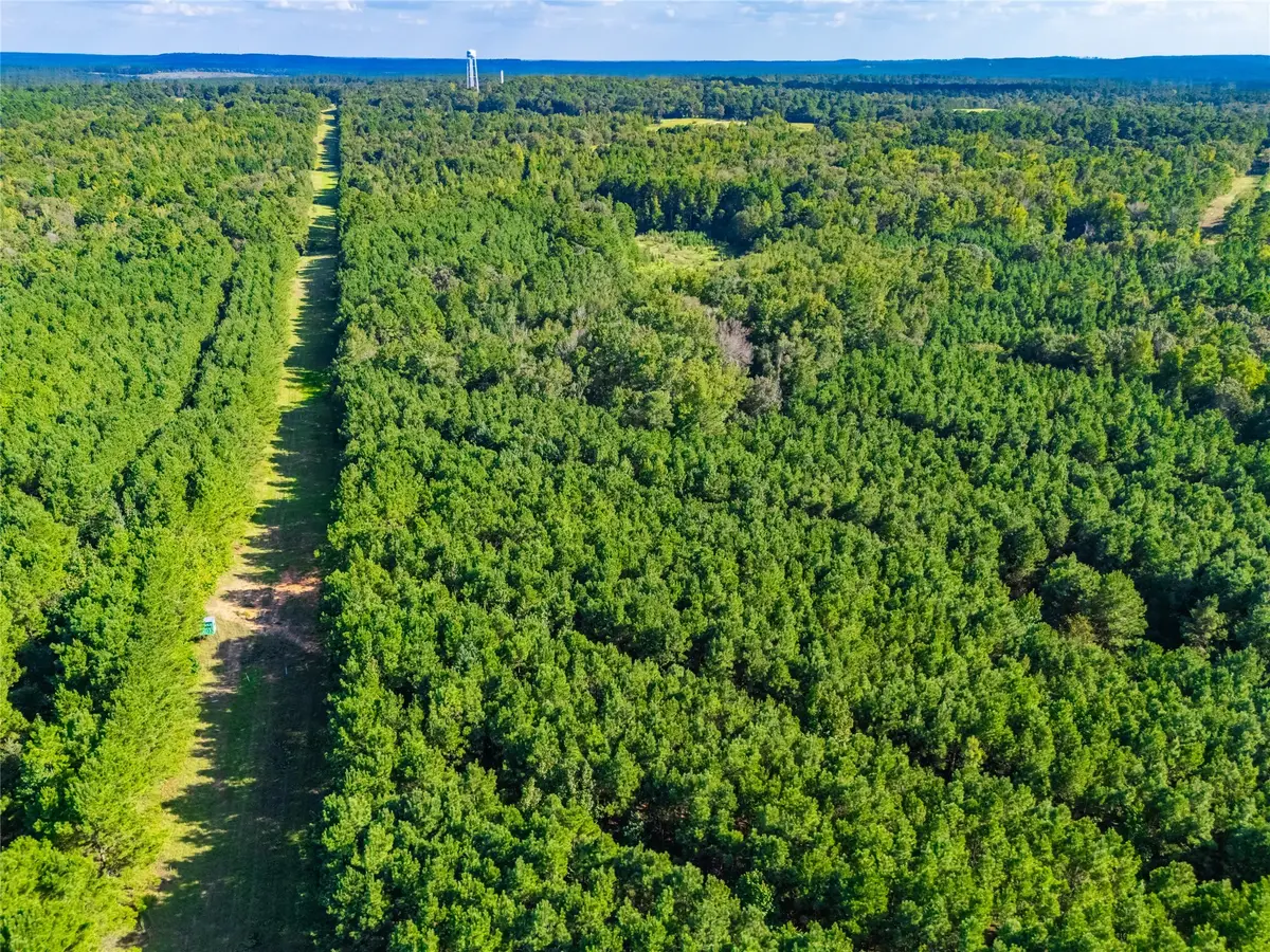 TBD Fm-1137, Palestine, TX 75801 - Image #1