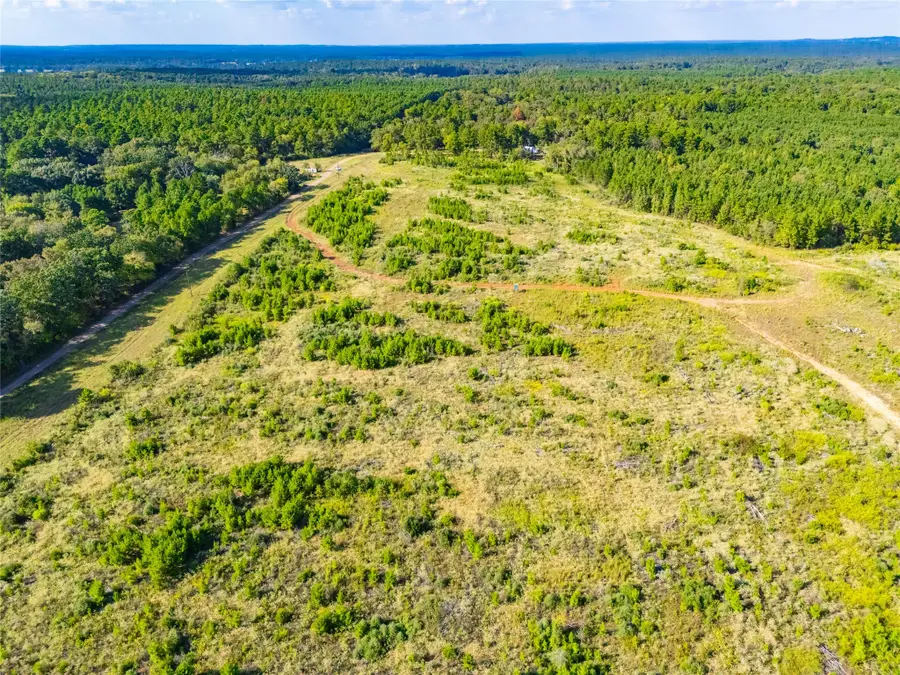 TBD Fm-1137, Palestine, TX 75801 - Image #3