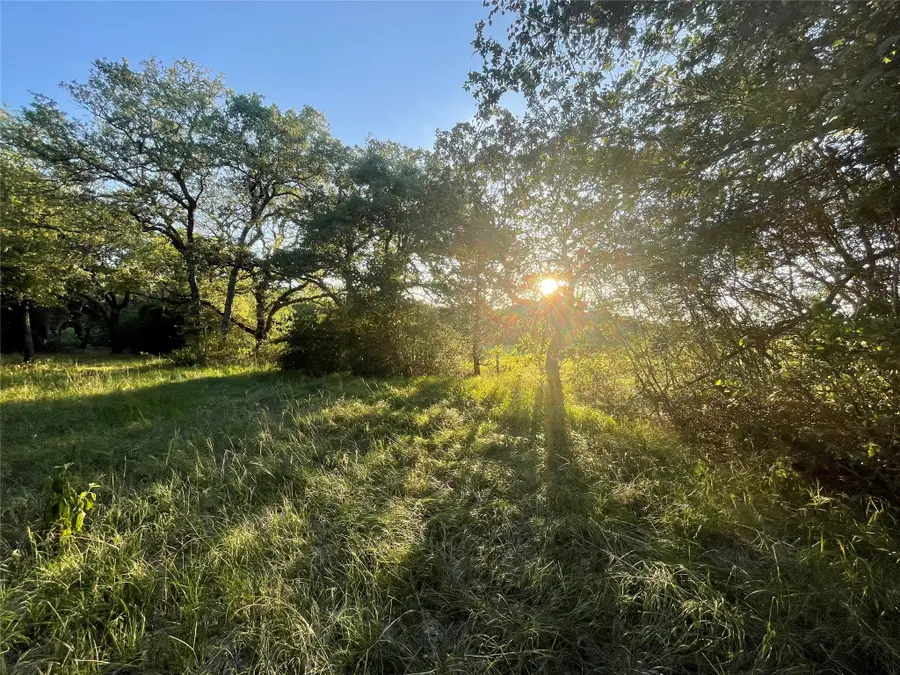 00 Mule Creek Road, Harwood, TX 78632 - Image #2