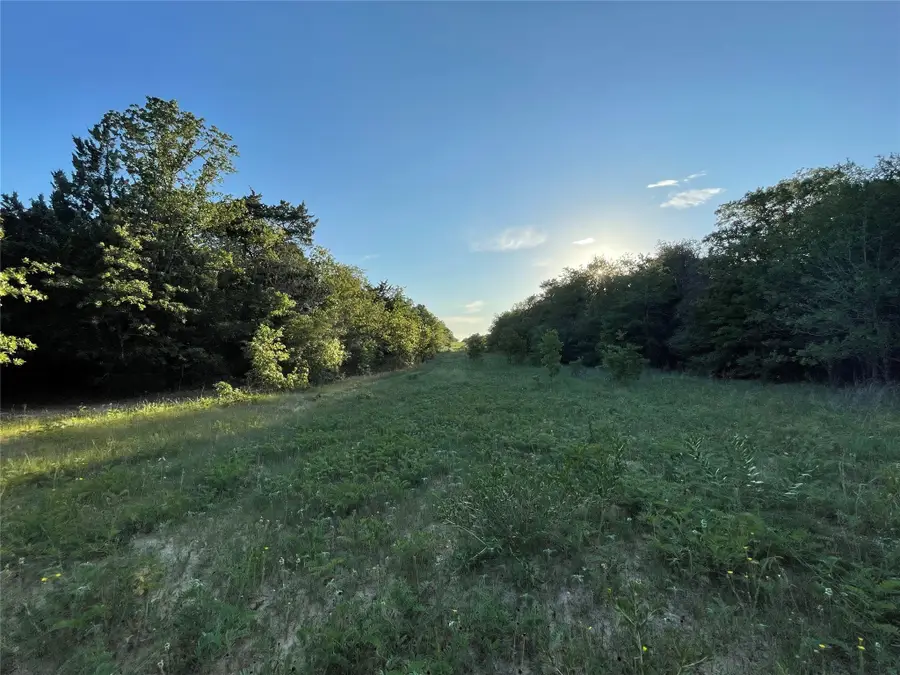 00 Mule Creek Road, Harwood, TX 78632 - Image #3