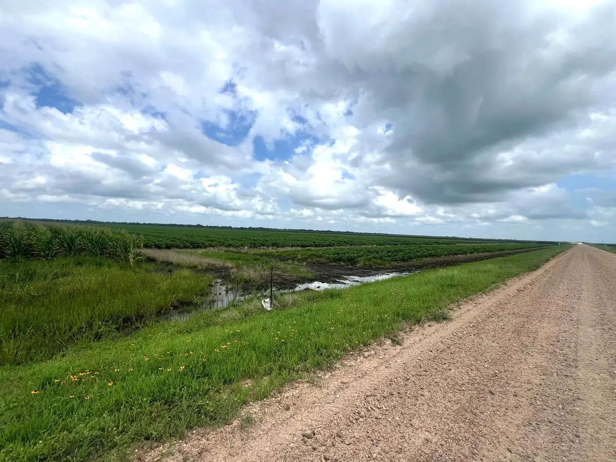 0 Cr 254, East Bernard, TX 77435 - #1